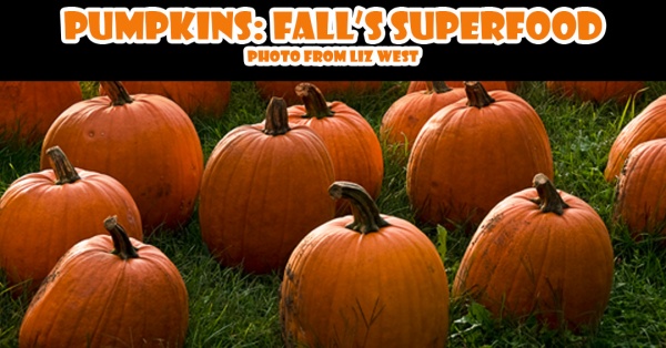pumpkin-superfood